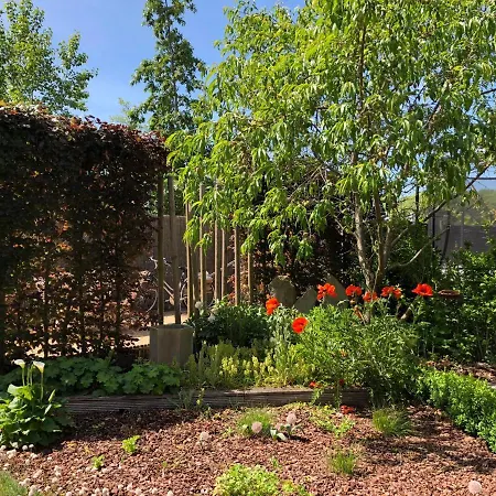 Bed & Breakfast Kudita De Panne